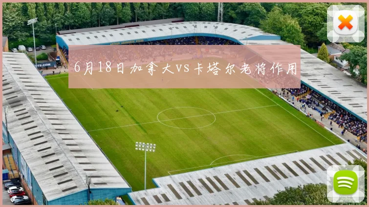 6月18日加拿大vs卡塔尔老将作用