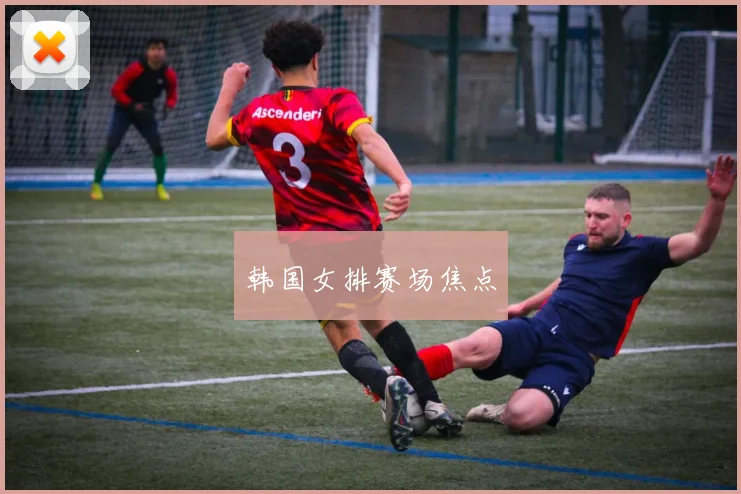韩国女排赛场焦点