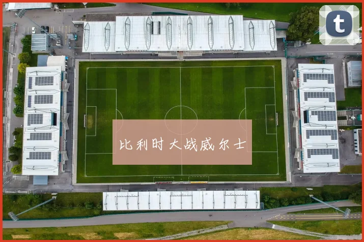 比利时大战威尔士