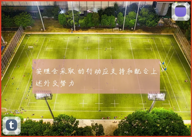 安理会采取 的行动应支持和配合上述外交努力