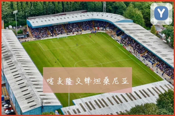 喀麦隆交锋坦桑尼亚