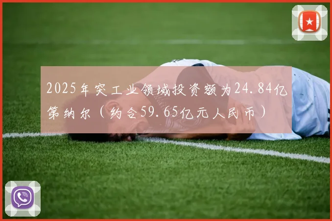 2025年突工业领域投资额为24.84亿第纳尔（约合59.65亿元人民币）