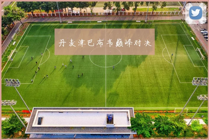 丹麦津巴布韦巅峰对决