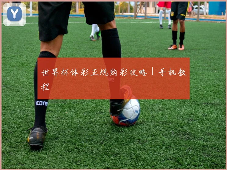 世界杯体彩正规购彩攻略｜手机教程