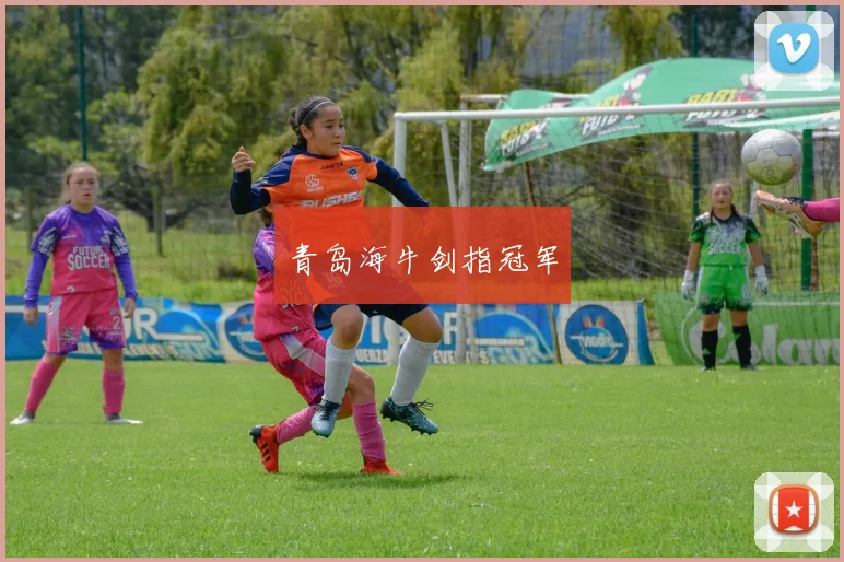 青岛海牛剑指冠军