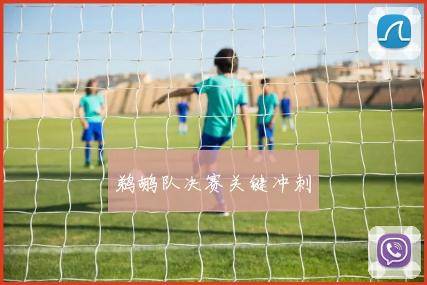 鹈鹕队决赛关键冲刺