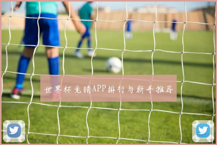 世界杯竞猜APP排行与新手推荐