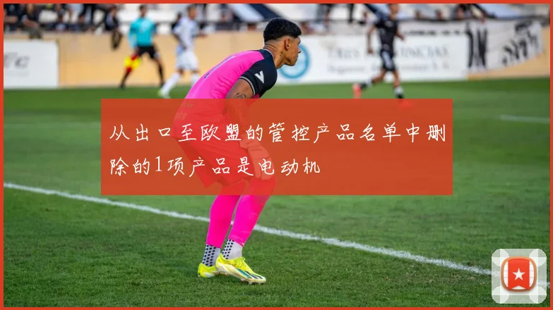 从出口至欧盟的管控产品名单中删除的1项产品是电动机