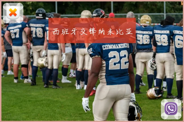 西班牙交锋纳米比亚