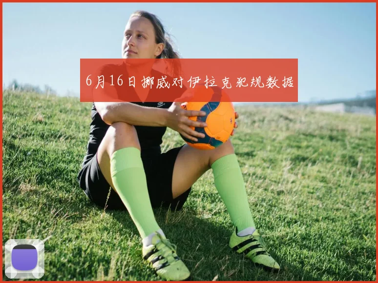 6月16日挪威对伊拉克犯规数据