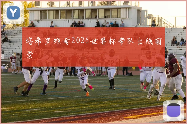 塔希罗维奇2026世界杯带队出线前景