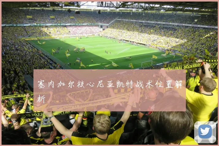 塞内加尔核心尼亚凯特战术位置解析
