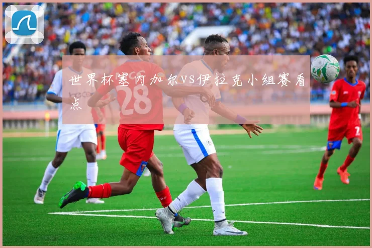 世界杯塞内加尔vs伊拉克小组赛看点
