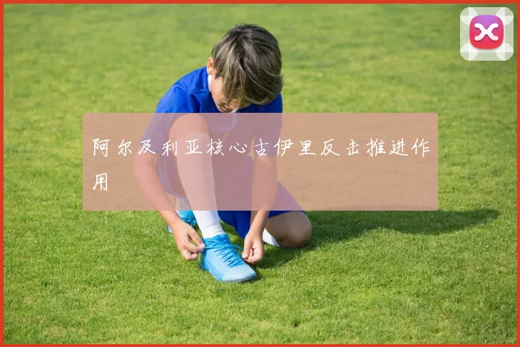 阿尔及利亚核心古伊里反击推进作用